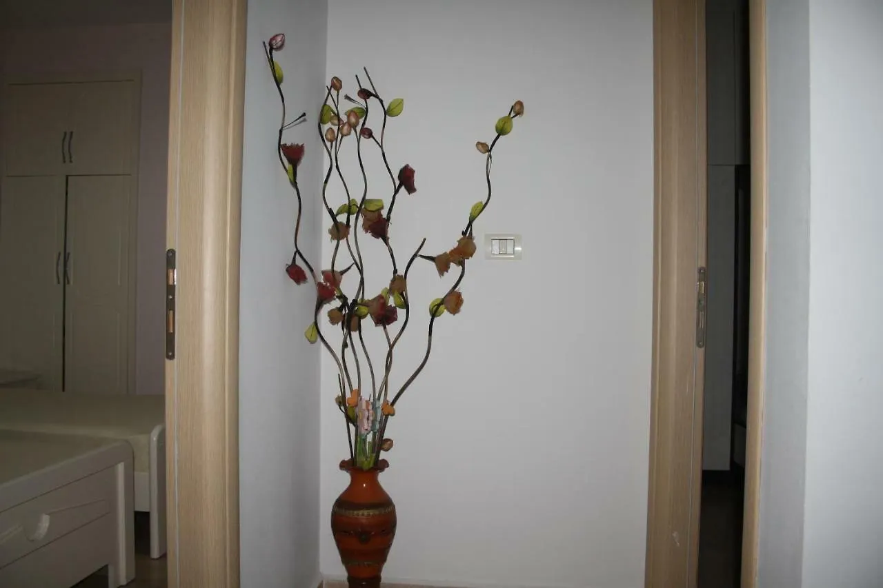 Center Apartment סרנדה